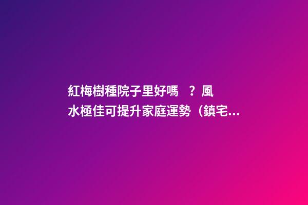 紅梅樹種院子里好嗎？風水極佳可提升家庭運勢（鎮宅旺財）